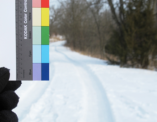 Color Scale in Snow Photo of color scale in snow